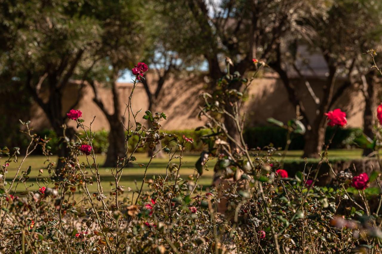 Bed and Breakfast Le Palais Paysan Marrakesch Exterior foto